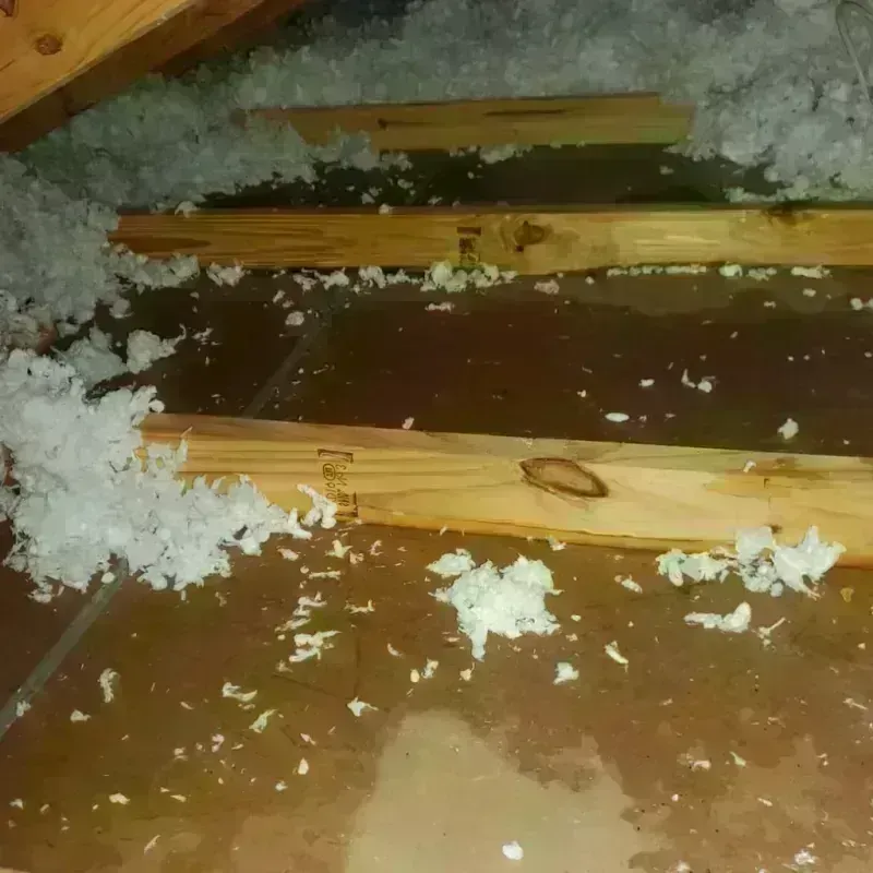 Attic Water Damage in Hampton, VA