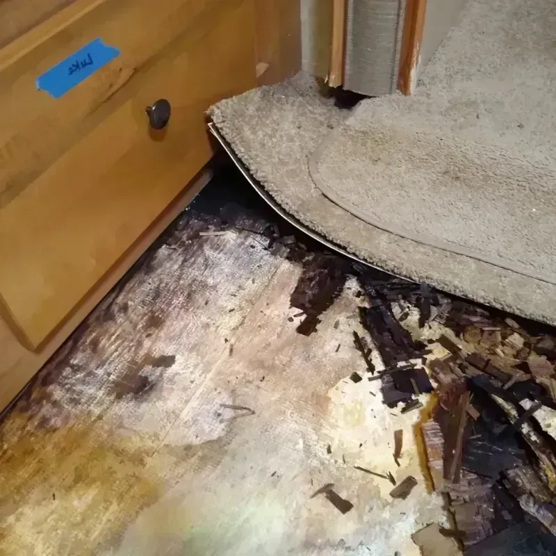 Best Wood Floor Water Damage Service in Hampton, VA